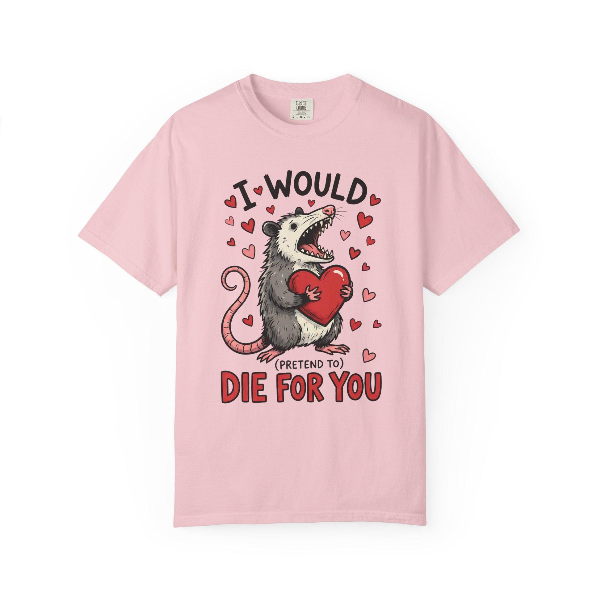 Funny Possum TShirt, Valentine’s Day Tee, Gag Gift Shirt, Animal Lover T-Shirt Idea
