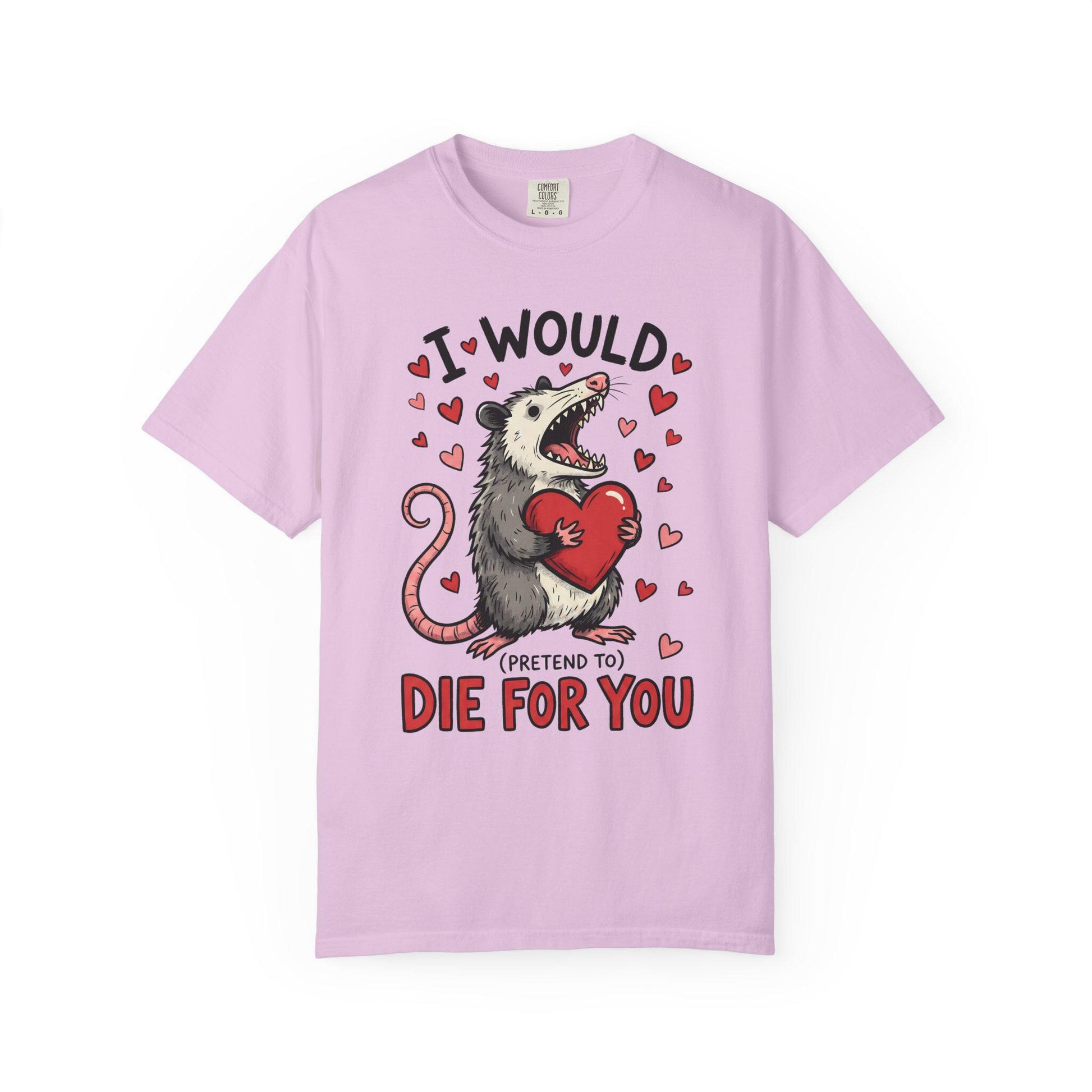 Funny Possum TShirt, Valentine’s Day Tee, Gag Gift Shirt, Animal Lover T-Shirt Idea