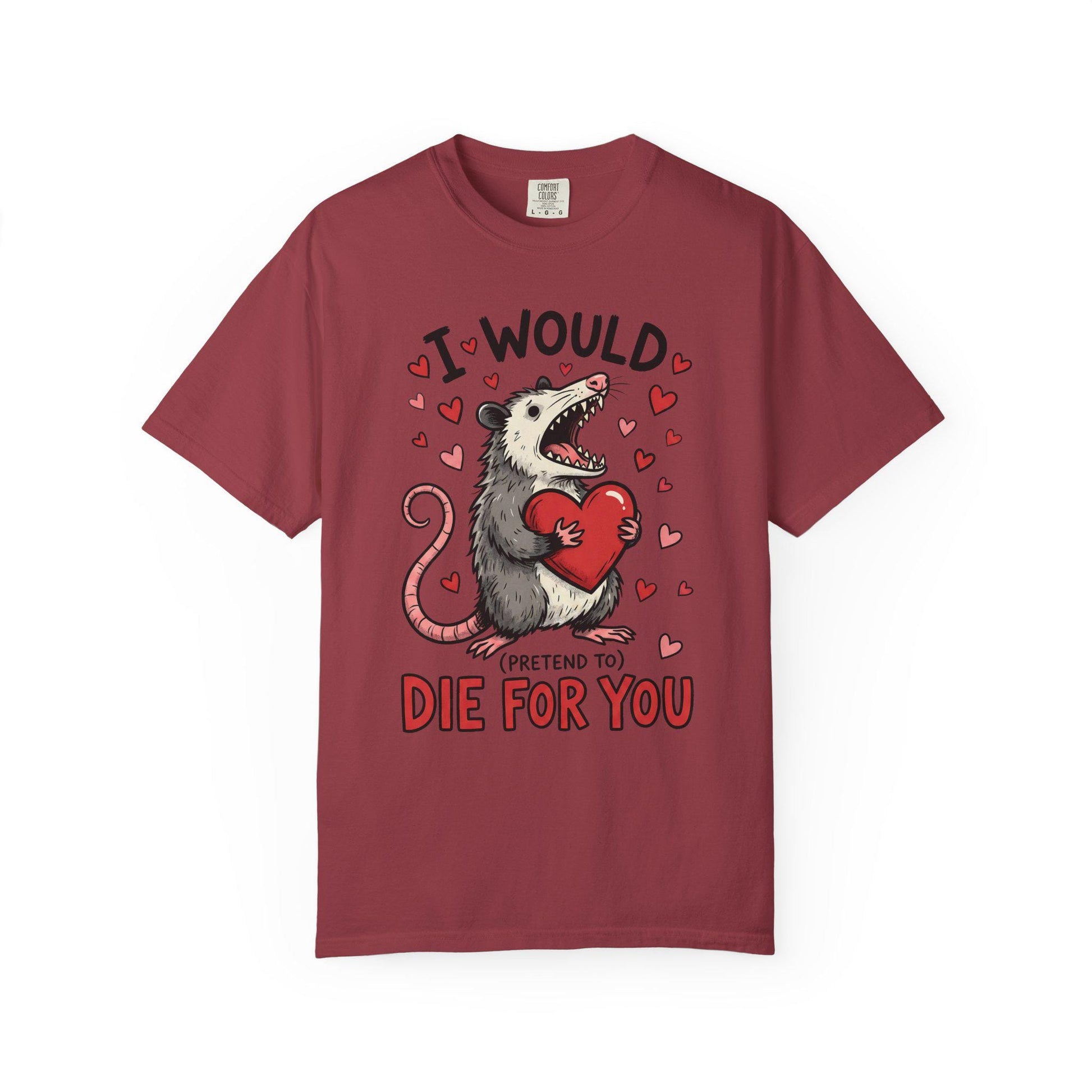 Funny Possum TShirt, Valentine’s Day Tee, Gag Gift Shirt, Animal Lover T-Shirt Idea