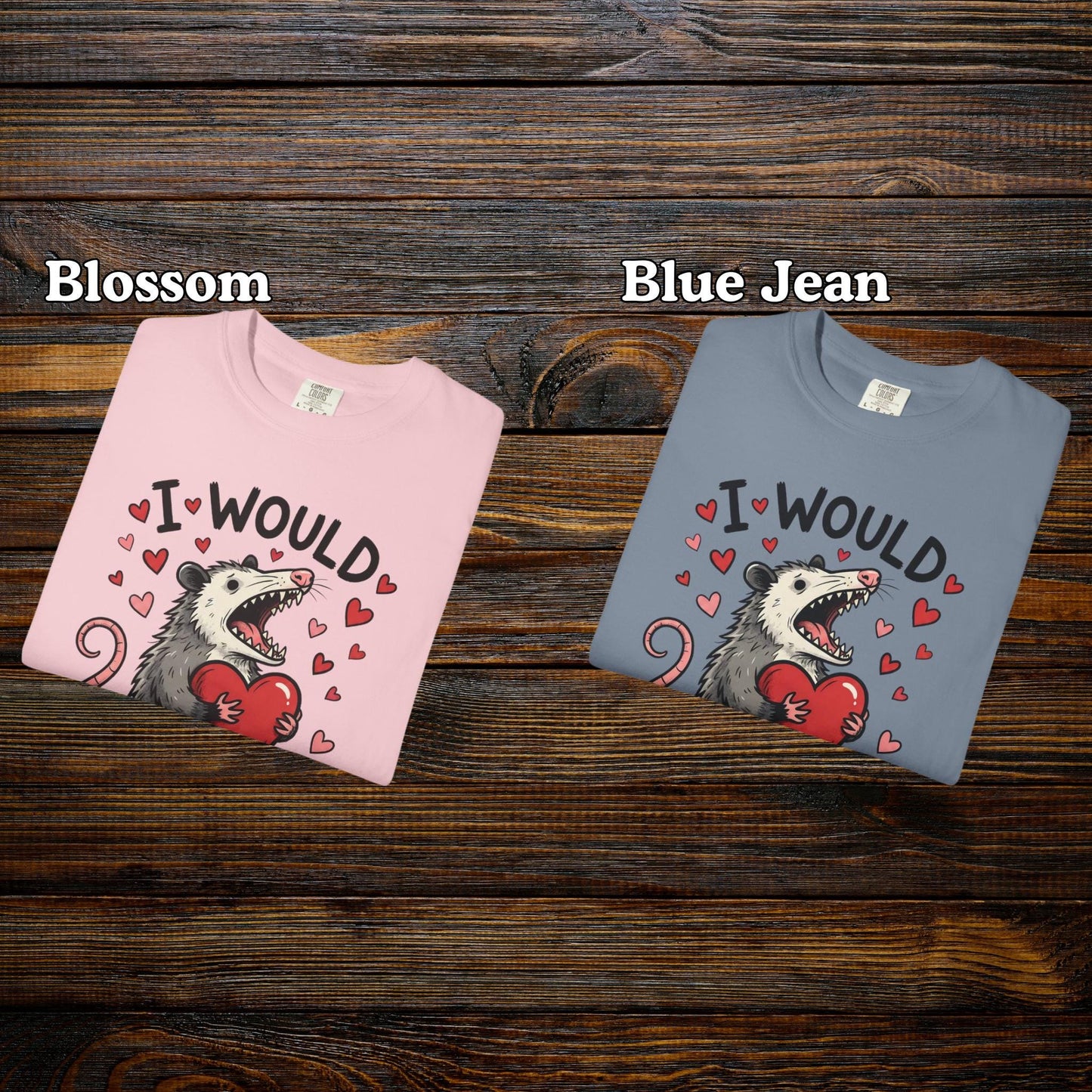 Funny Possum TShirt, Valentine’s Day Tee, Gag Gift Shirt, Animal Lover T-Shirt Idea