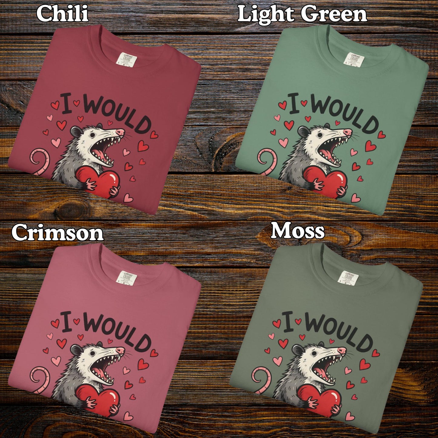 Funny Possum TShirt, Valentine’s Day Tee, Gag Gift Shirt, Animal Lover T-Shirt Idea