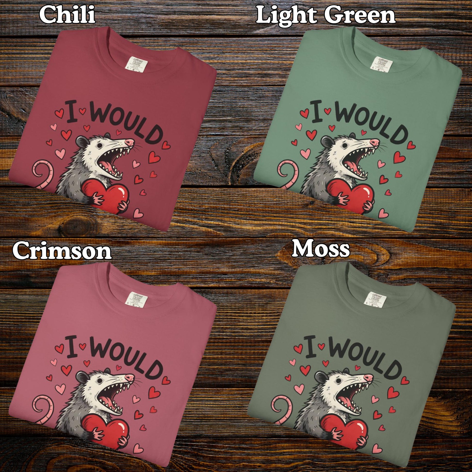 Funny Possum TShirt, Valentine’s Day Tee, Gag Gift Shirt, Animal Lover T-Shirt Idea