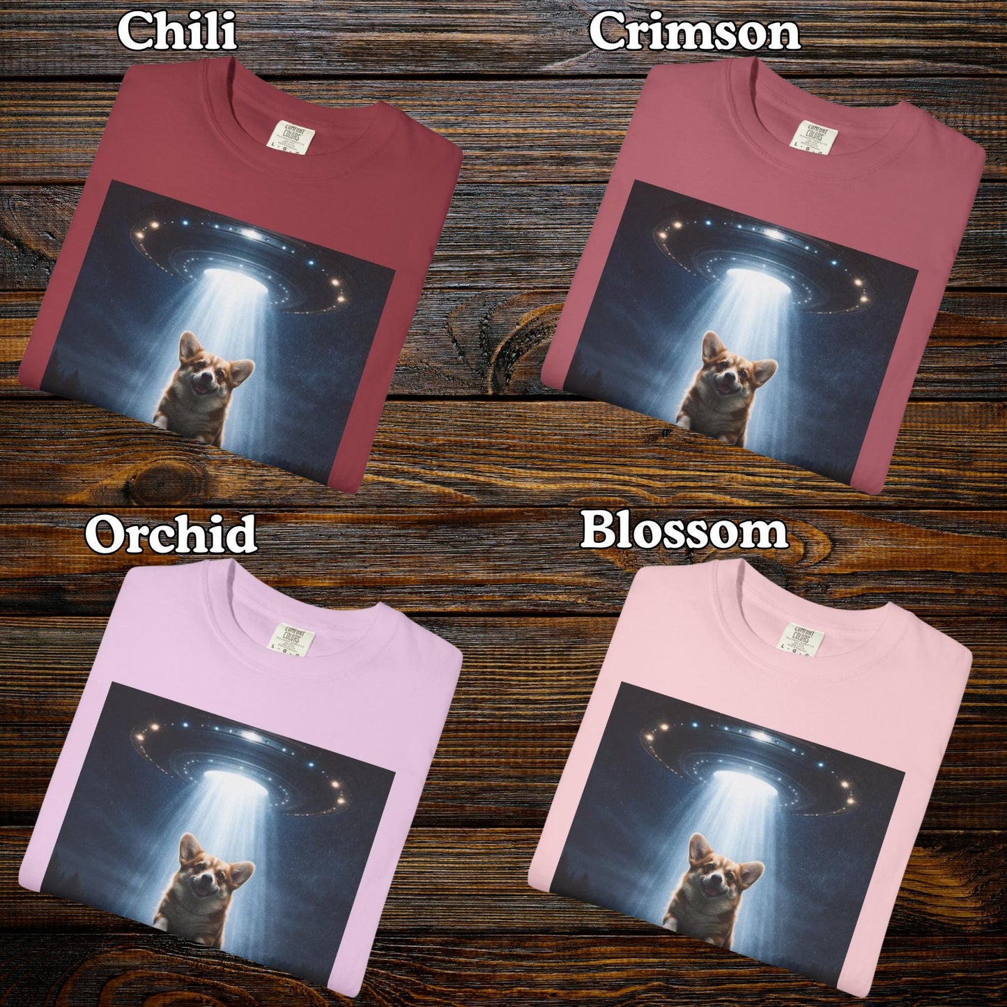 Corgi Shirt, Funny UFO T-Shirt, Hilarious Dog Lover Tshirt Gag Gift, Brainrot Meme Humor Tee, Corgi Mom Idea, Cursed Humor Gifts For Friend