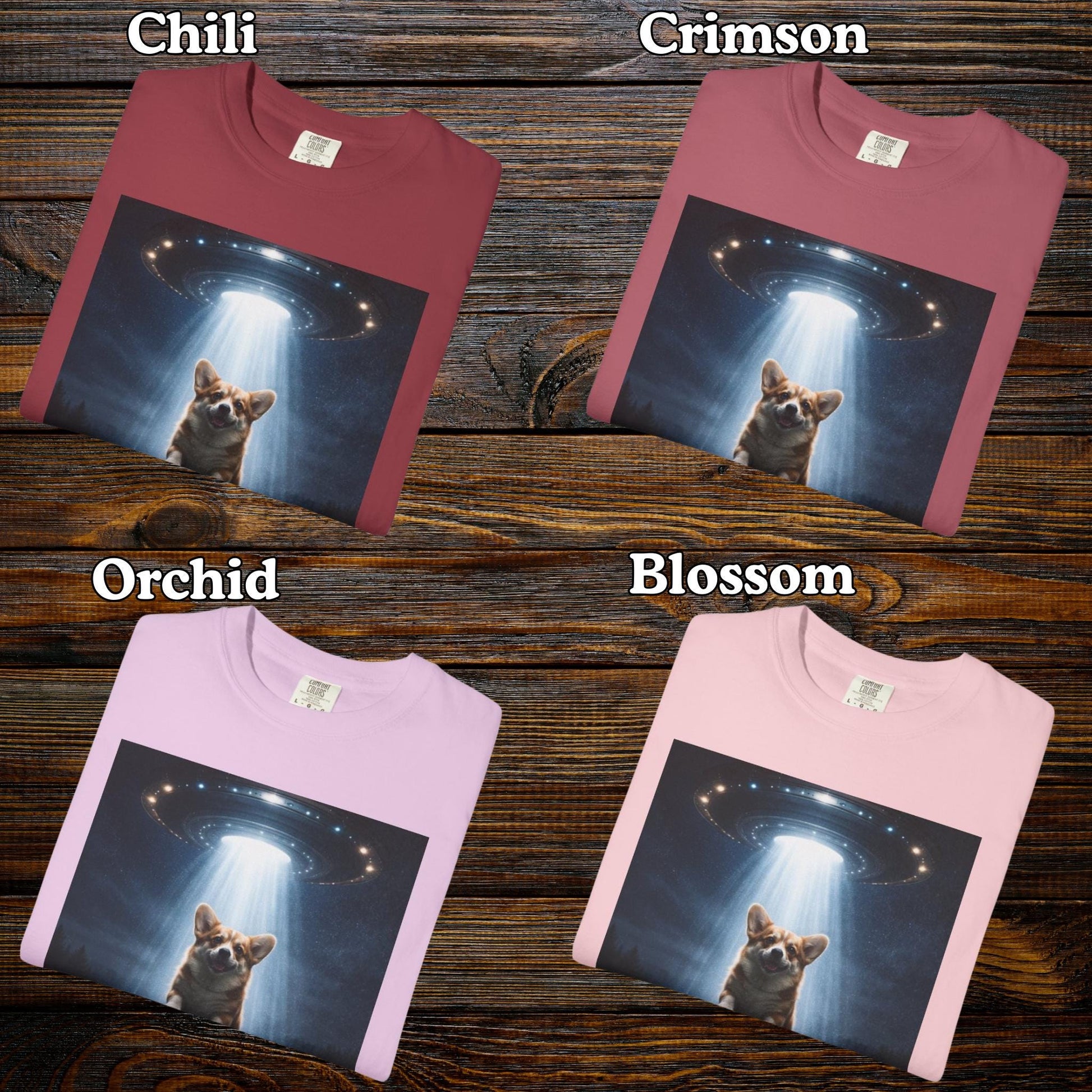 Corgi Shirt, Funny UFO T-Shirt, Hilarious Dog Lover Tshirt Gag Gift, Brainrot Meme Humor Tee, Corgi Mom Idea, Cursed Humor Gifts For Friend