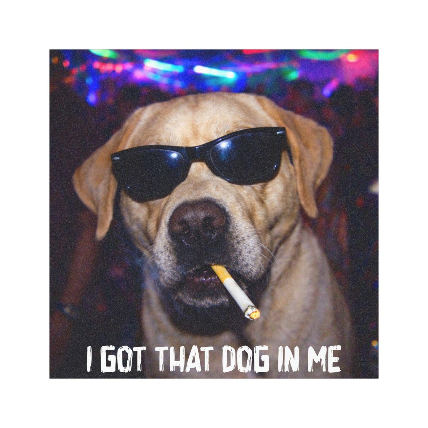 Funny Labrador Retriever Car Magnet, Hilarious Smoking Night Club Yellow Lab Dogs, Party Animal Lover Gag Gift, I Got That Dog In Me y2k