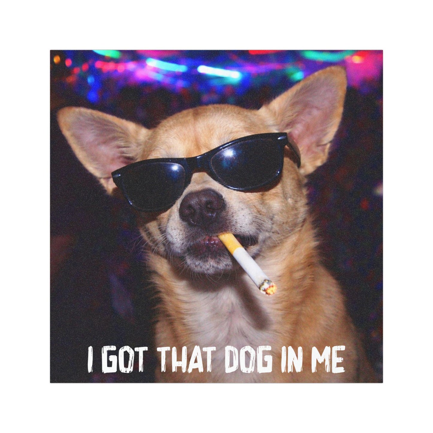 Funny Chihuahua Car Magnet, Hilarious Smoking Night Club Dog, Waterproof Party Animal Lover Gag Gift, I Got That Dog In Me y2k Meme Cursed