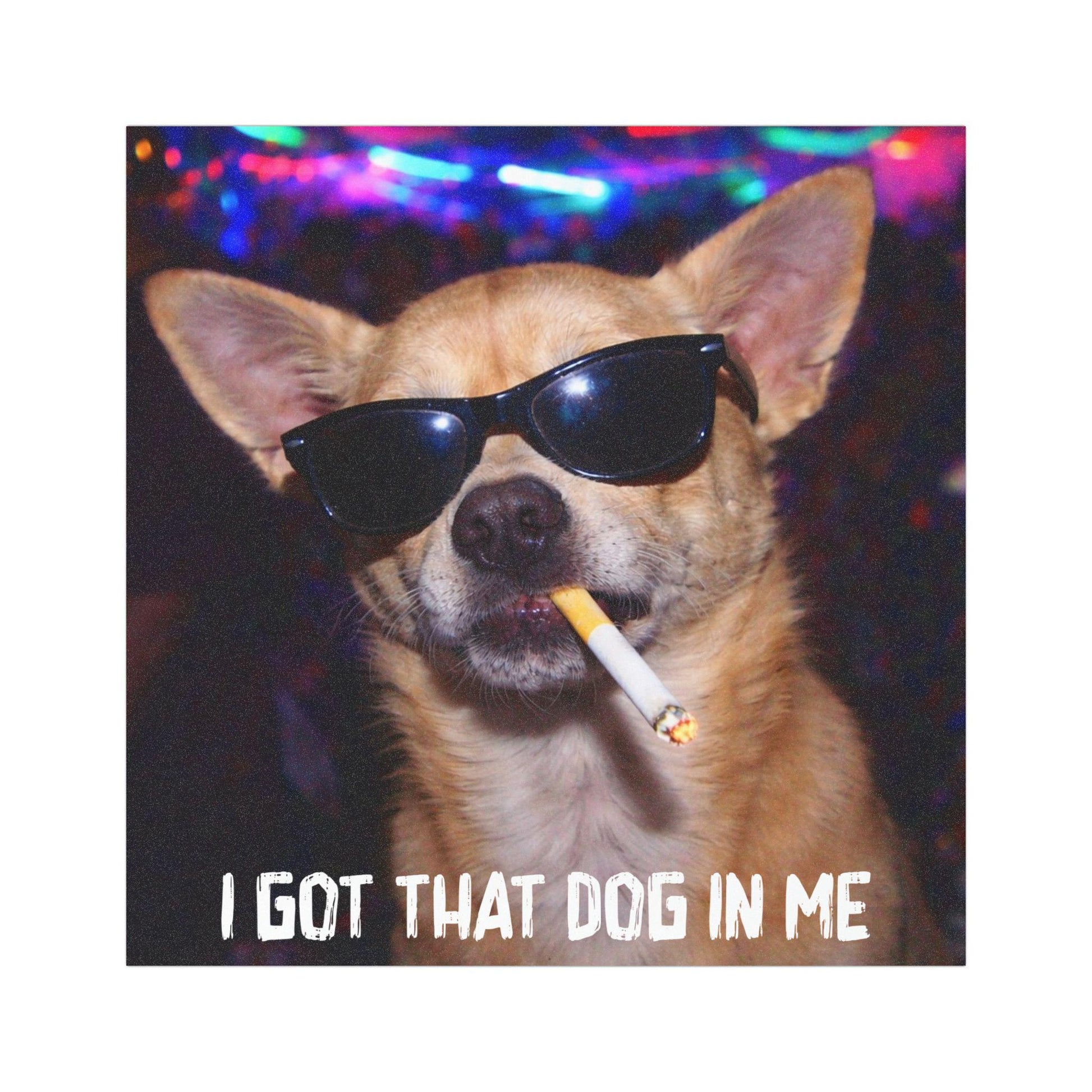 Funny Chihuahua Car Magnet, Hilarious Smoking Night Club Dog, Waterproof Party Animal Lover Gag Gift, I Got That Dog In Me y2k Meme Cursed