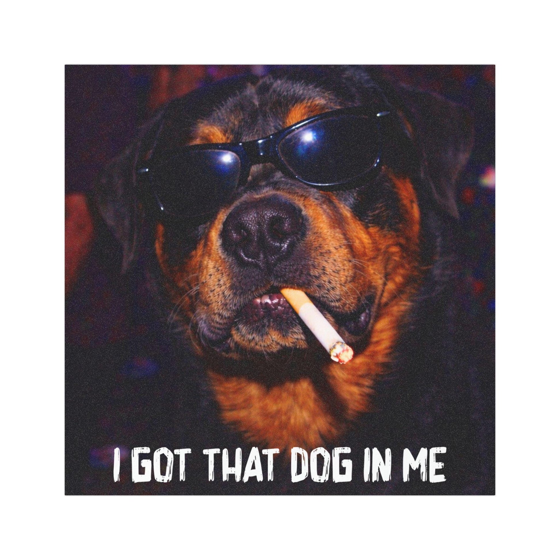 Funny Rottweiler Car Magnet, Hilarious Smoking Night Club Dogs, Waterproof Party Animal Lover Gag Gift, I Got That Dog In Me y2k Meme Humor