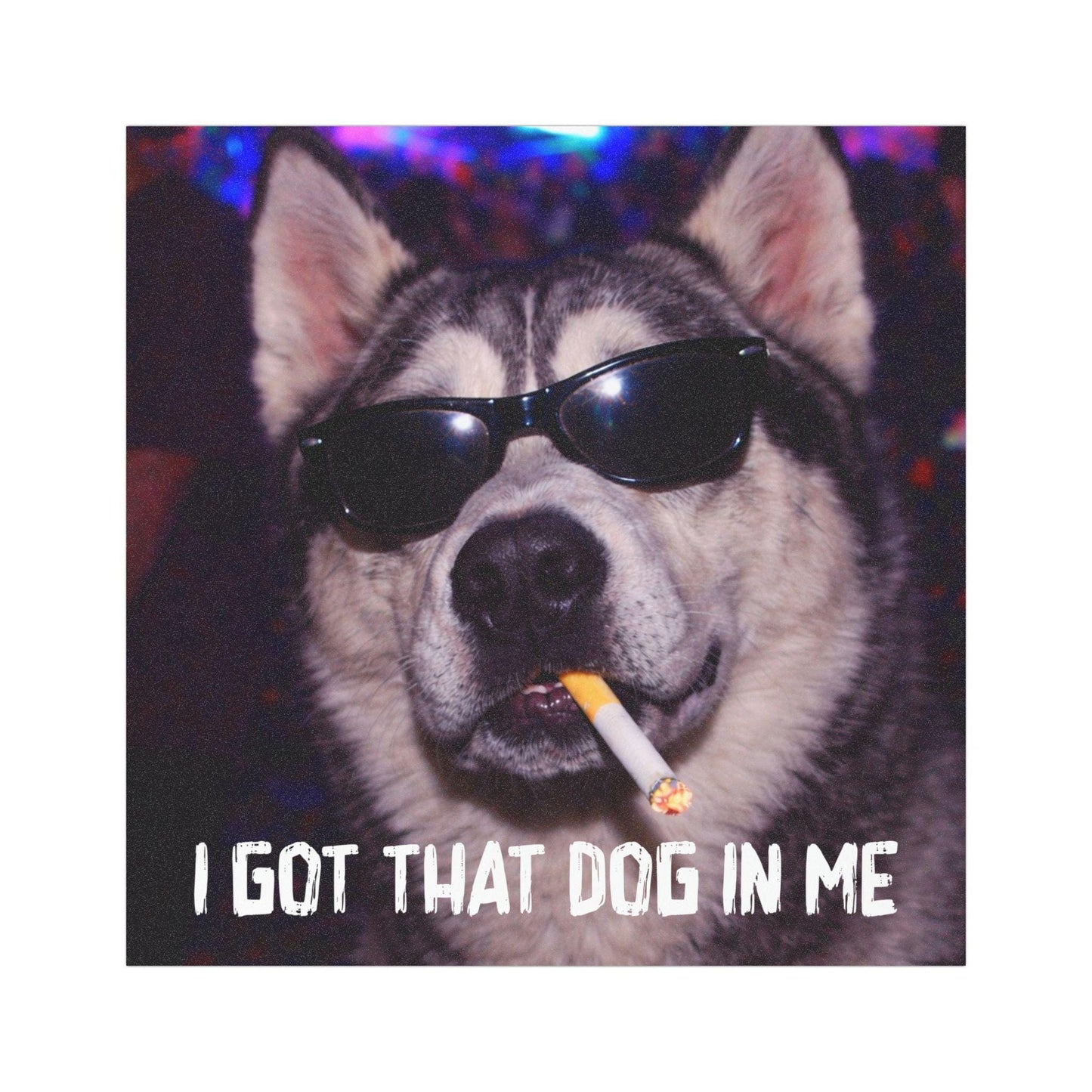 Funny Siberian Husky Car Magnet, Hilarious Smoking Night Club Dogs, Waterproof Party Animal Lover Gag Gift, I Got That Dog In Me y2k Humor