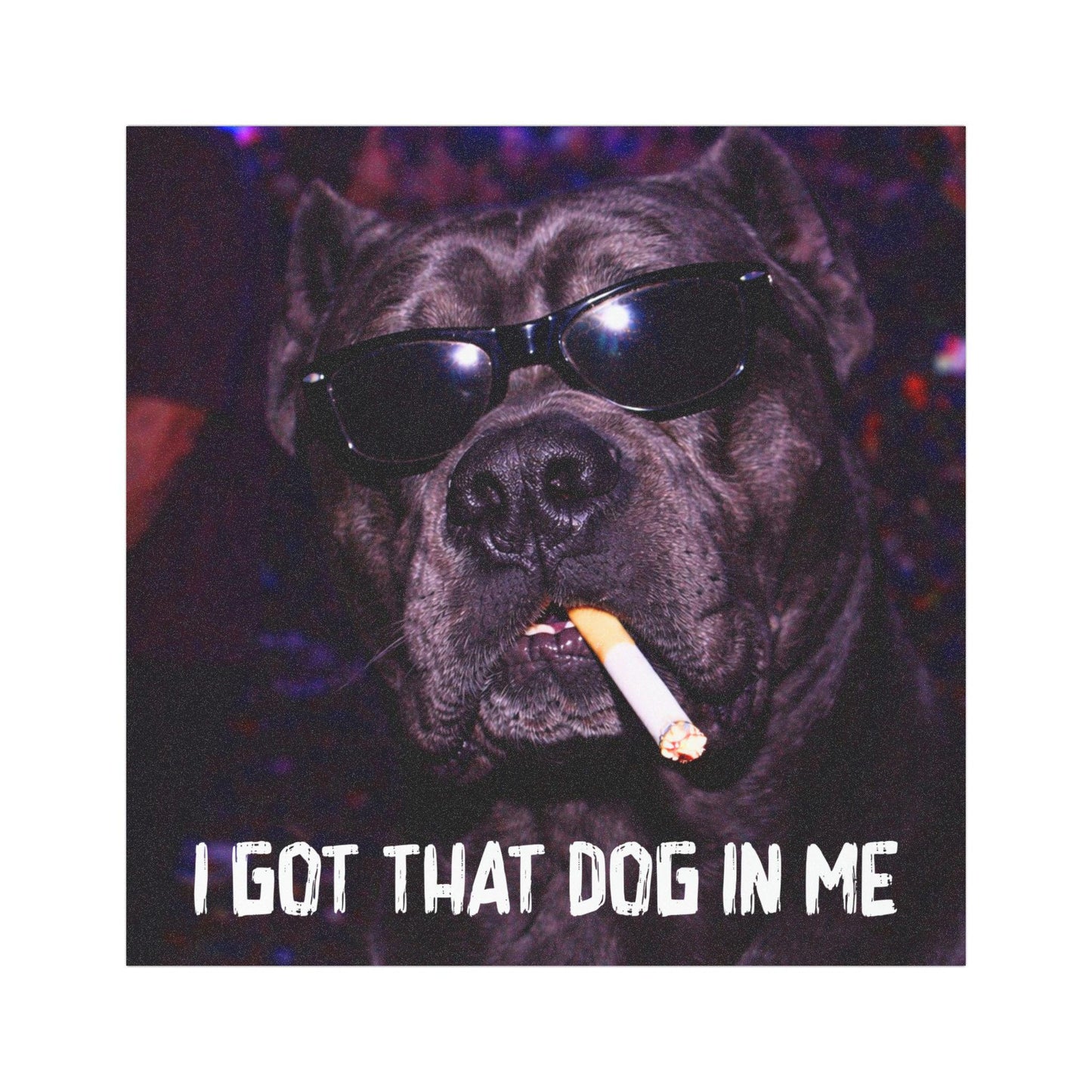 Funny Cane Corso Car Magnet, Hilarious Smoking Night Club Dogs, Waterproof Party Animal Lover Gag Gift, I Got That Dog In Me y2k Humor