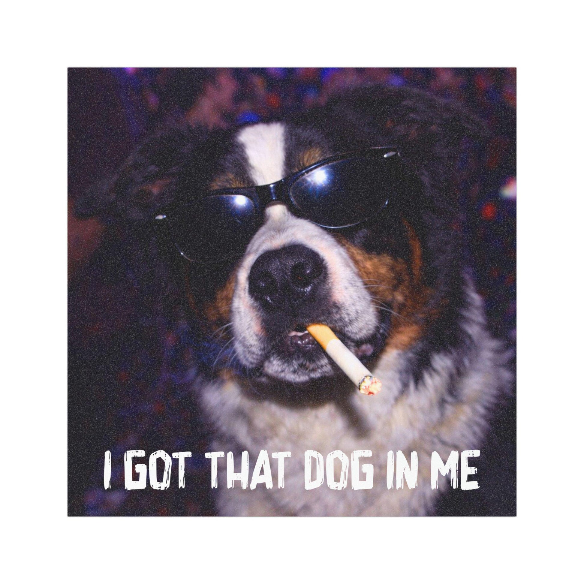 Funny Border Collie Car Magnet, Hilarious Smoking Night Club, Outdoor Waterproof Party Animal Lover Gag Gift, I Got That Dog In Me y2k Dawg
