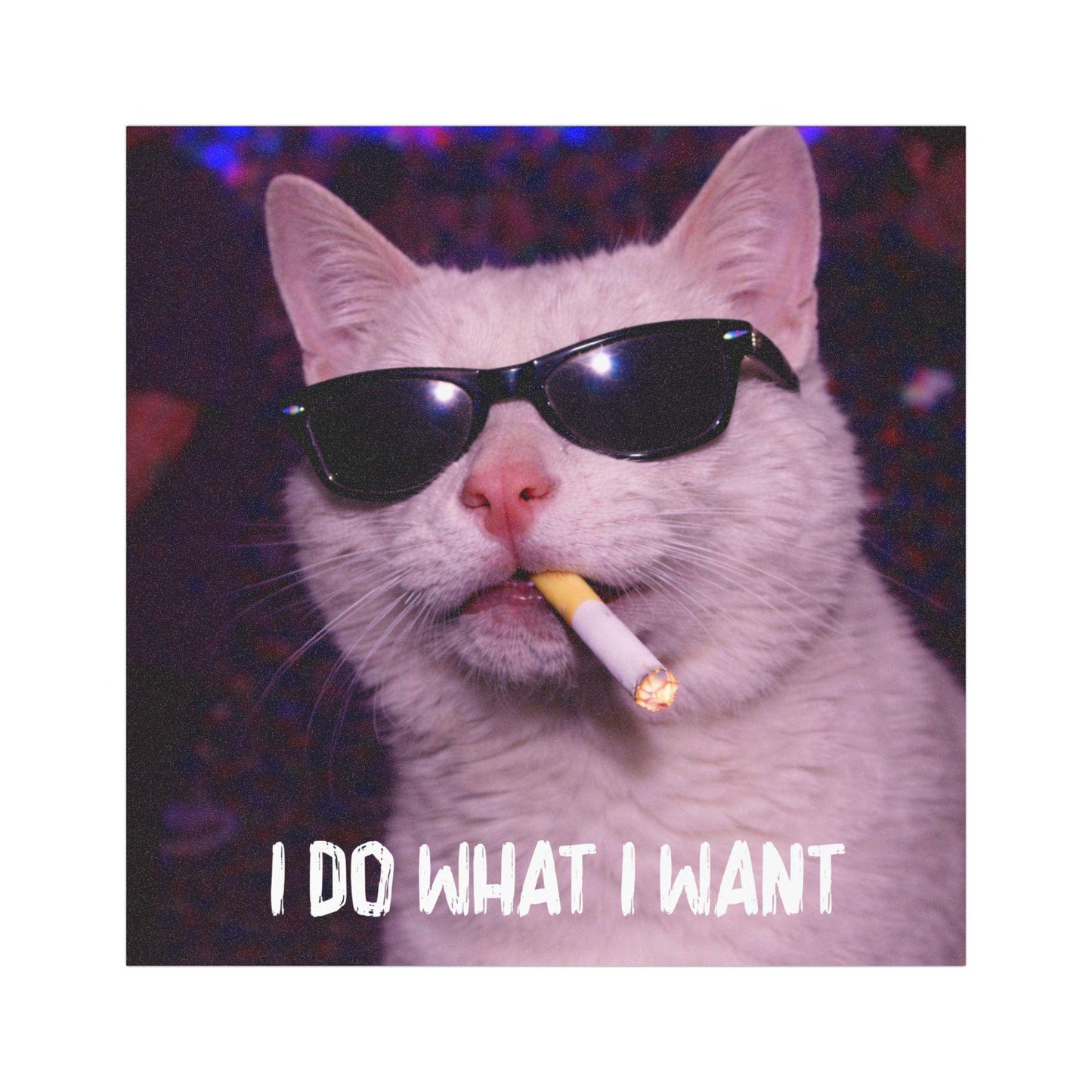 Funny White Cat Car Magnet, Hilarious Smoking Night Club Cats, Outdoor Waterproof Party Animal Lover Gag Gift, y2k Don't Tailgate Me Kitty