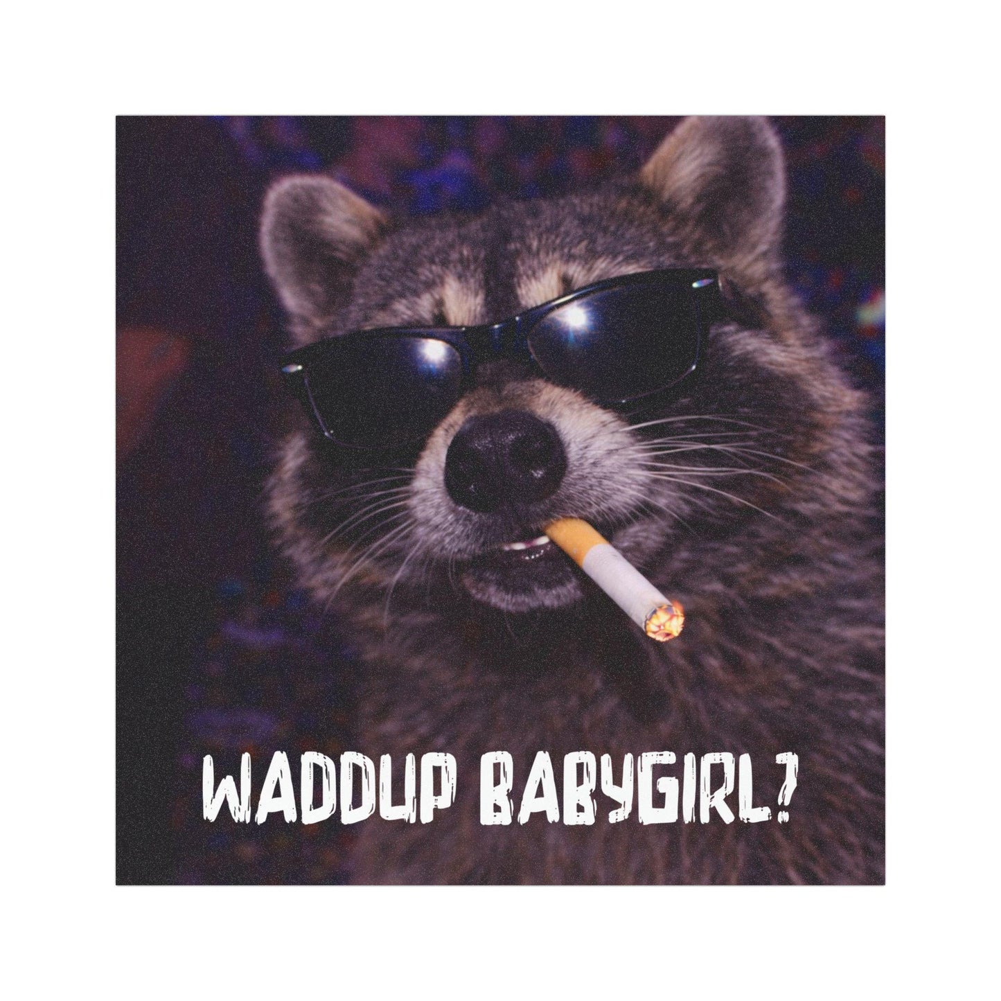 Funny Raccoon Car Magnet, Hilarious Smoking Night Club Raccoon, Outdoor Waterproof Animal Lover Gag Gift, Waddup Babygirl?