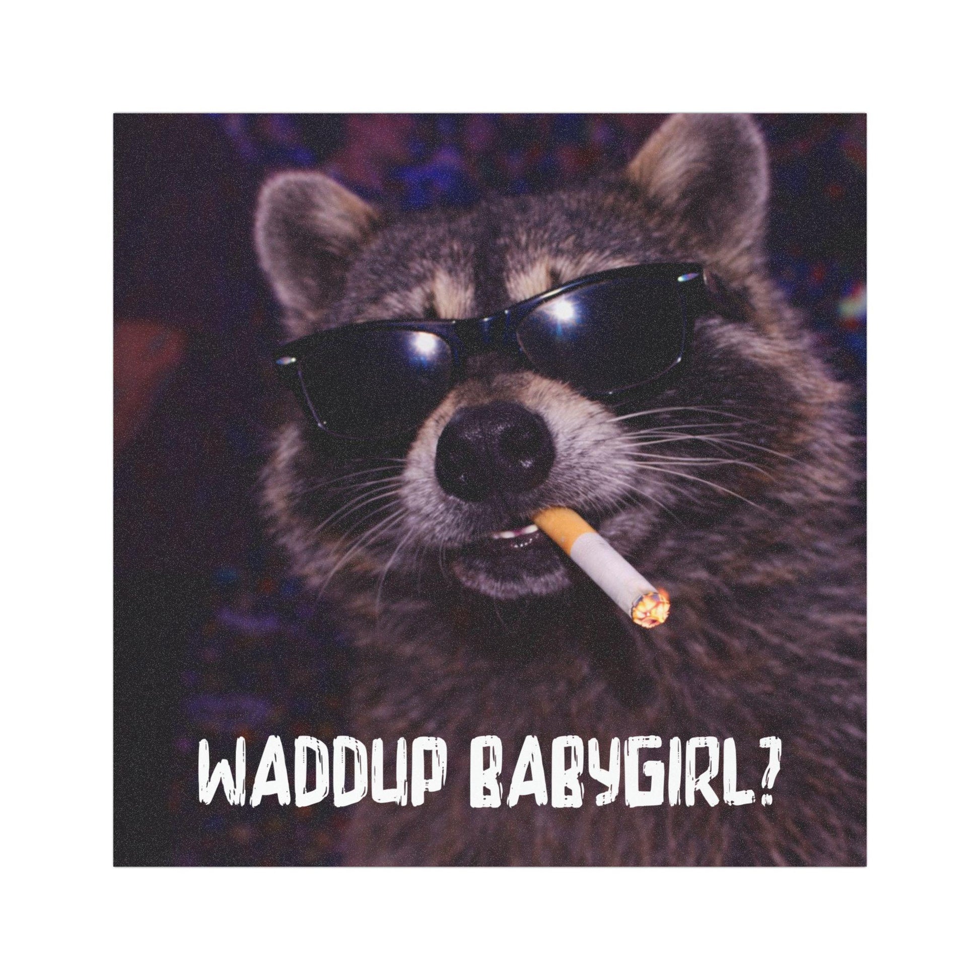 Funny Raccoon Car Magnet, Hilarious Smoking Night Club Raccoon, Outdoor Waterproof Animal Lover Gag Gift, Waddup Babygirl?