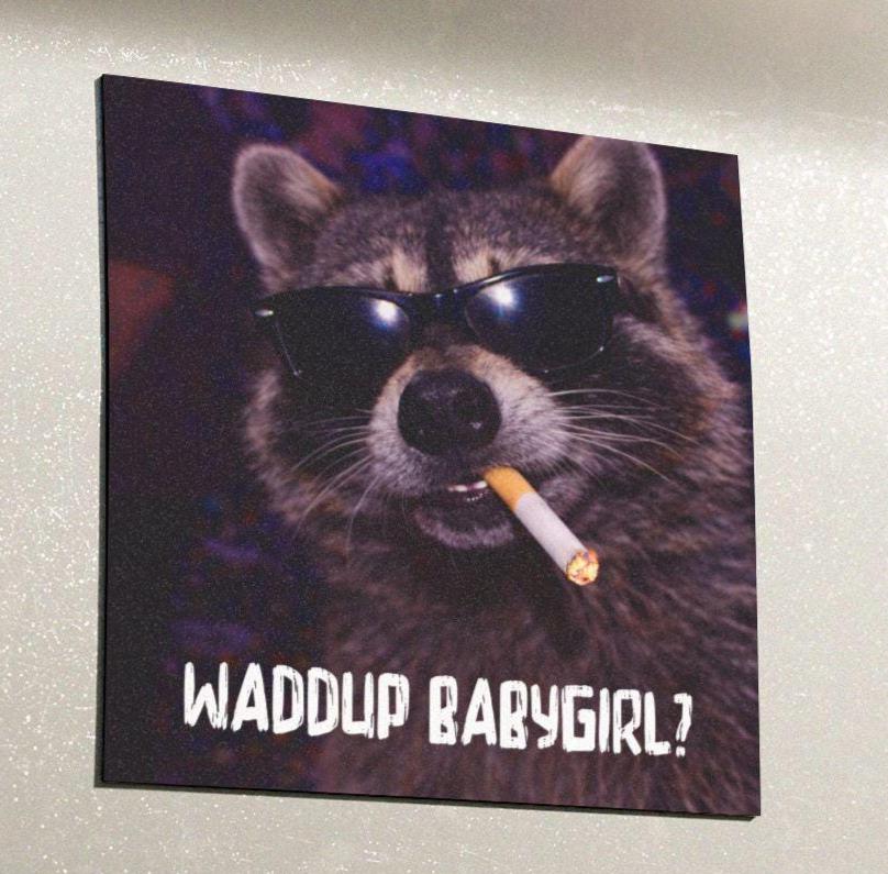 Funny Raccoon Car Magnet, Hilarious Smoking Night Club Raccoon, Outdoor Waterproof Animal Lover Gag Gift, Waddup Babygirl?