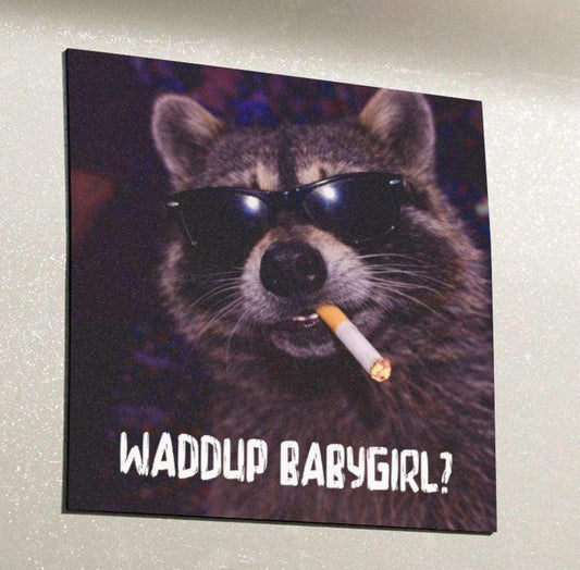 Funny Raccoon Car Magnet, Hilarious Smoking Night Club Raccoon, Outdoor Waterproof Animal Lover Gag Gift, Waddup Babygirl?