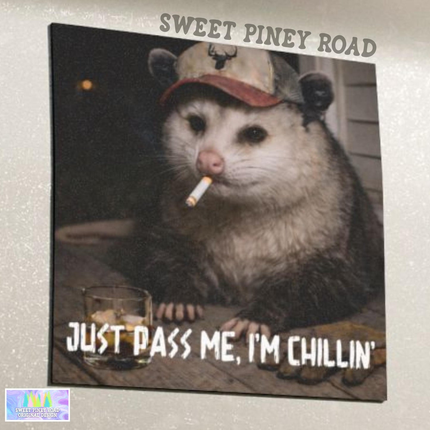Funny Possum Car Magnet, Hilarious Smoking Country Themed Opossum, Outdoor Waterproof Animal Lover Gag Gift, Just Pass Me Already Im Chillin
