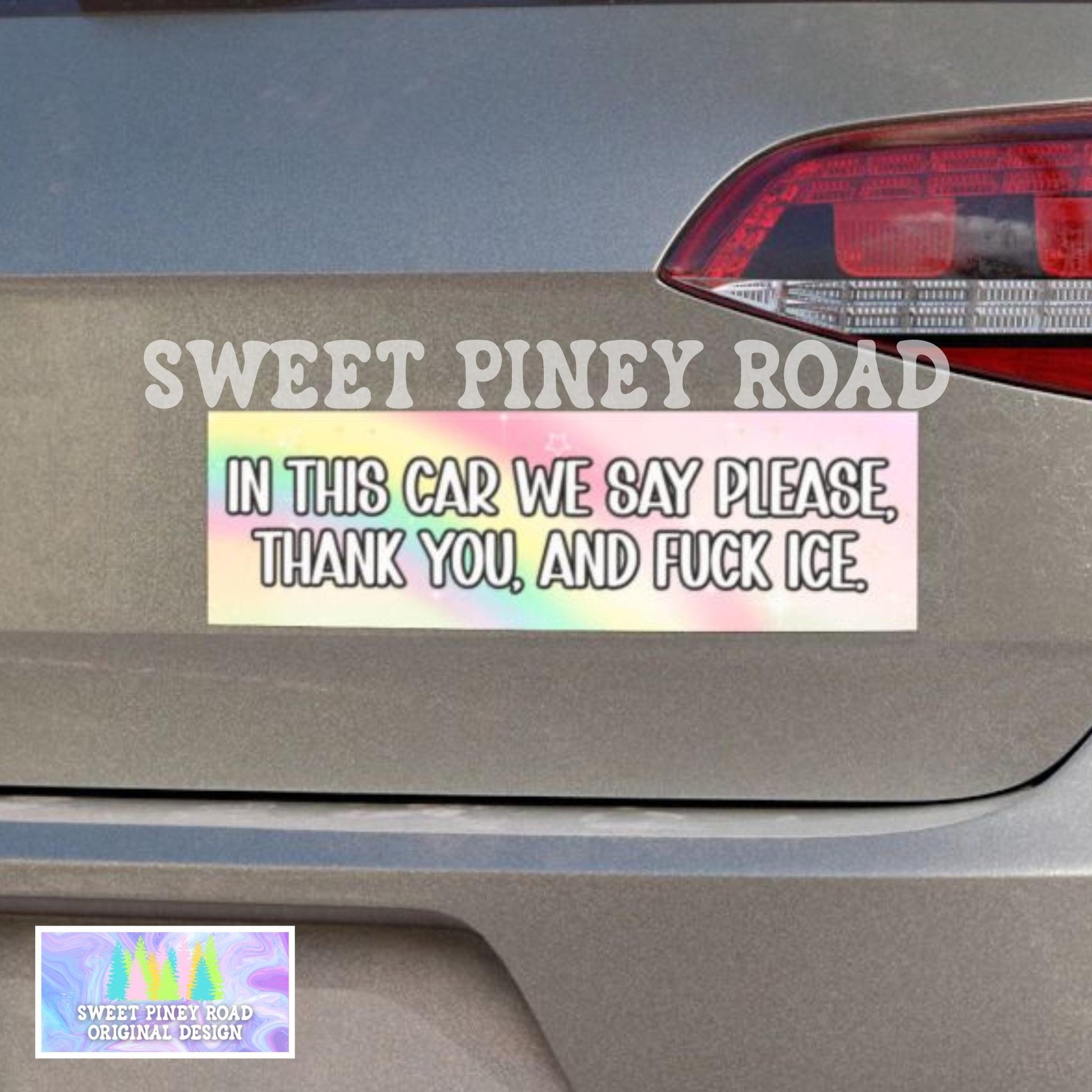 Abolish ICE Car Magnet, F*ck ICE Bumper Sticker, Social Justice Pro Immigration, FDT Chinga La Migra, Pastel y2k Rainbow