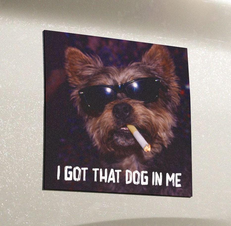 Funny Yorkie Car Magnet, Hilarious Smoking Night Club Yorkshire Terrier, Waterproof Party Animal Lover Gift, I Got That Dog In Me y2k Dawg