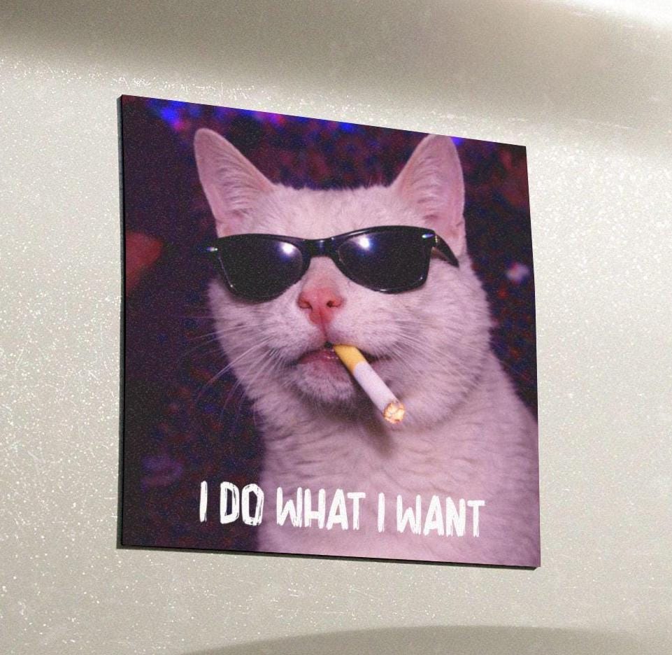 Funny White Cat Car Magnet, Hilarious Smoking Night Club Cats, Outdoor Waterproof Party Animal Lover Gag Gift, y2k Don't Tailgate Me Kitty