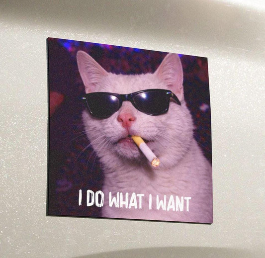 Funny White Cat Car Magnet, Hilarious Smoking Night Club Cats, Outdoor Waterproof Party Animal Lover Gag Gift, y2k Don't Tailgate Me Kitty