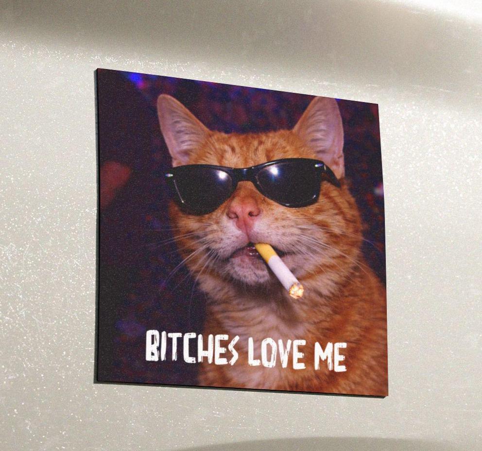 Funny Orange Cat Car Magnet, Hilarious Smoking Night Club Cats, Outdoor Waterproof Party Animal Lover Gag Gift, y2k Don't Tailgate Me Kitty