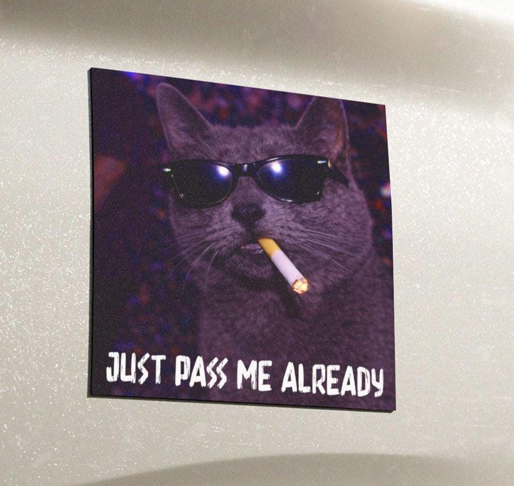 Funny Grey Cat Car Magnet, Hilarious Smoking Night Club Gray Cats, Waterproof Party Animal Lover Gag Gift, y2k Don't Tailgate Me Kitty