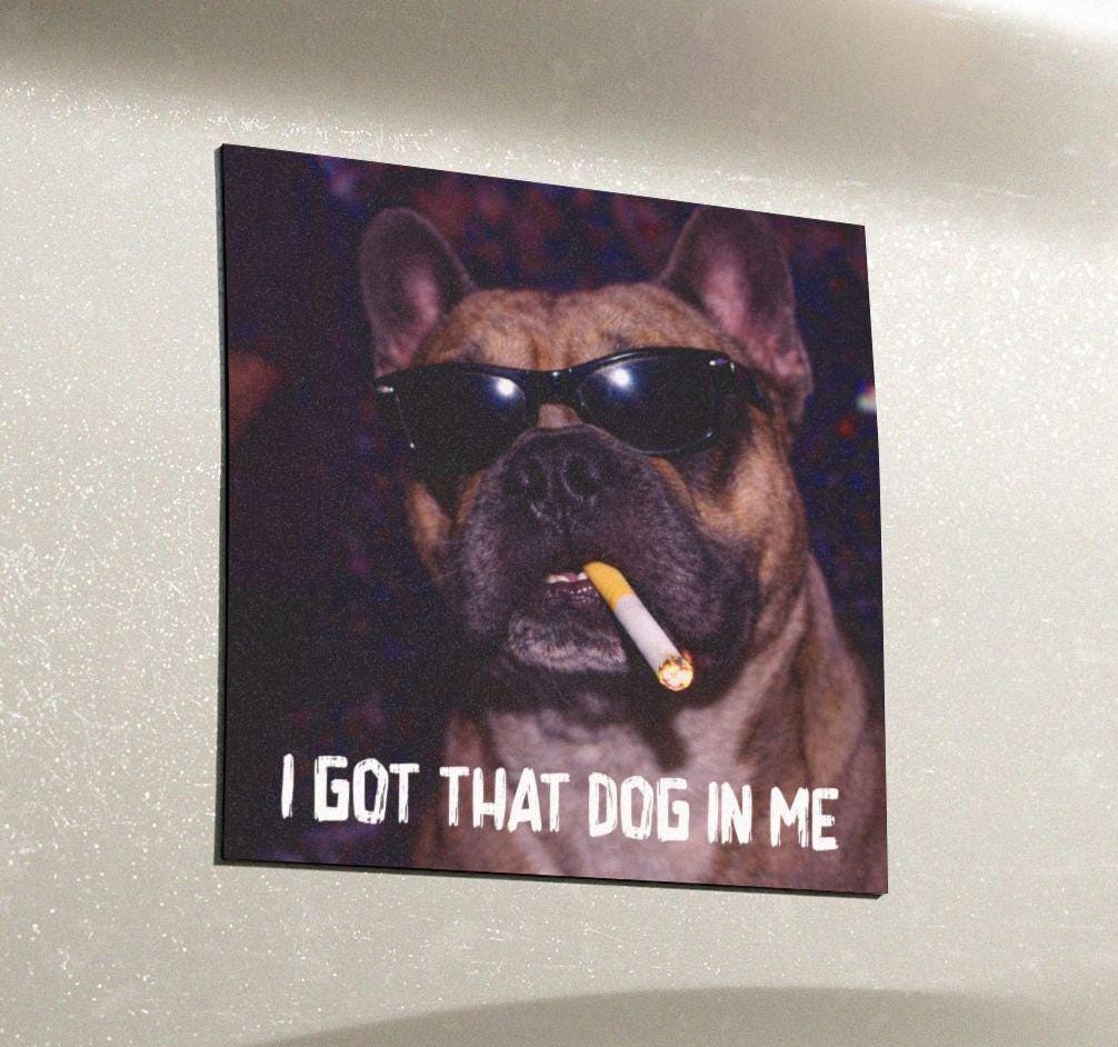 Funny French Bulldog Car Magnet, Hilarious Smoking Night Club, Waterproof Party Animal Lover Gag Gift, I Got That Dog In Me y2k Frenchie