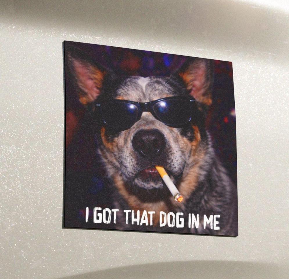Funny Blue Heeler Car Magnet, Hilarious Smoking Night Club Cattle Dogs, Waterproof Party Animal Lover Gag Gift, I Got That Dog In Me y2k