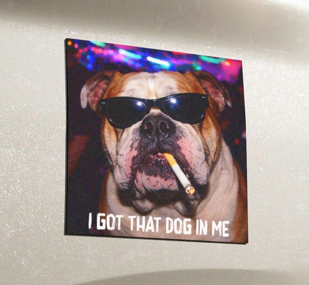 Funny English Bulldog Car Magnet, Hilarious Smoking Night Club Dogs, Waterproof Party Animal Lover Gag Gift, I Got That Dog In Me y2k Meme