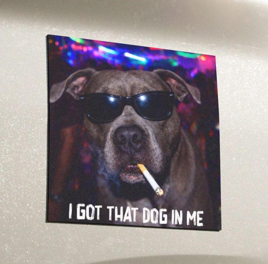 Funny Pitbull Car Magnet, Hilarious Smoking Night Club Dogs, Waterproof Party Animal Lover Gag Gift, I Got That Dog In Me y2k Meme Humor