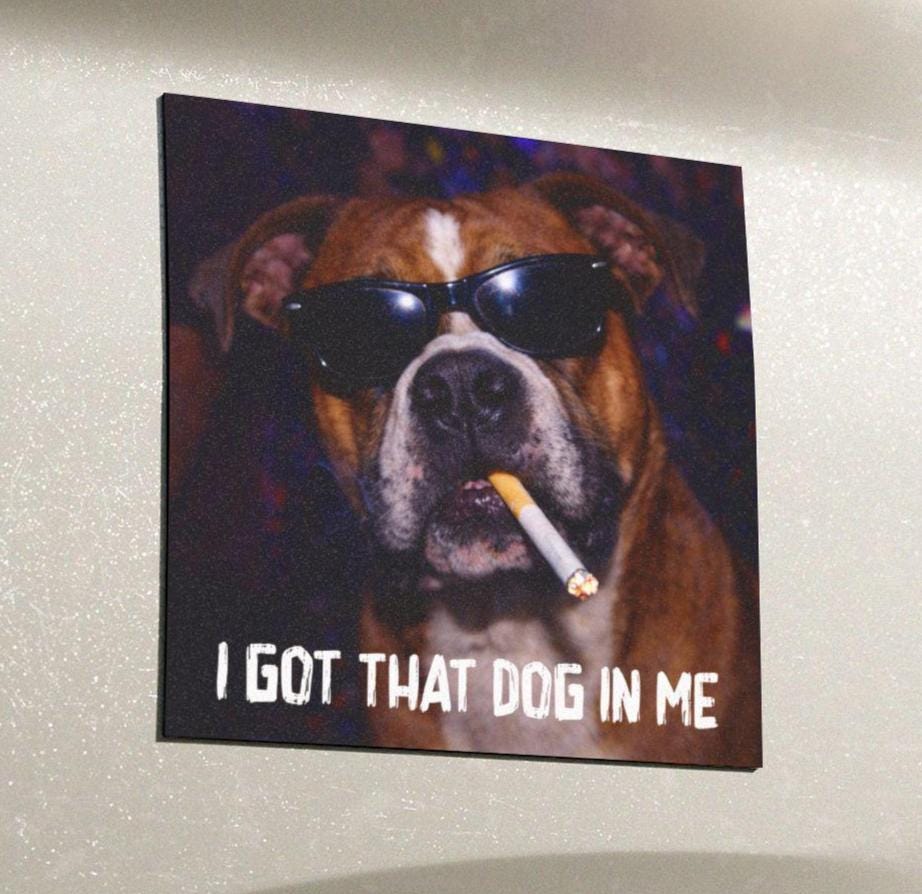 Funny Boxer Car Magnet, Hilarious Smoking Night Club Dogs, Outdoor Waterproof Party Animal Lover Gag Gift, I Got That Dog In Me y2k Dawg