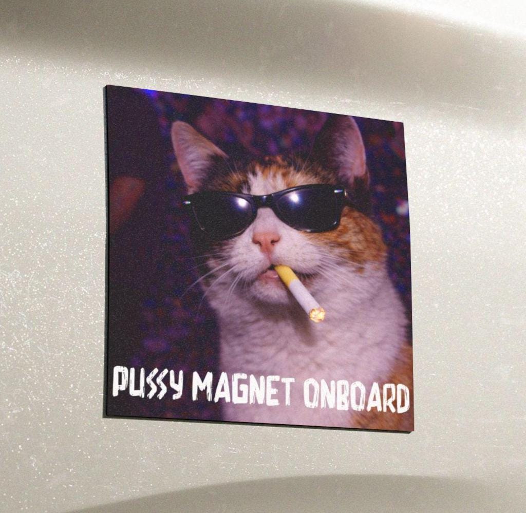Funny Calico Cat Car Magnet, Hilarious Smoking Night Club Cats, Outdoor Waterproof Party Animal Lover Gag Gift, y2k Don't Tailgate Me Kitty