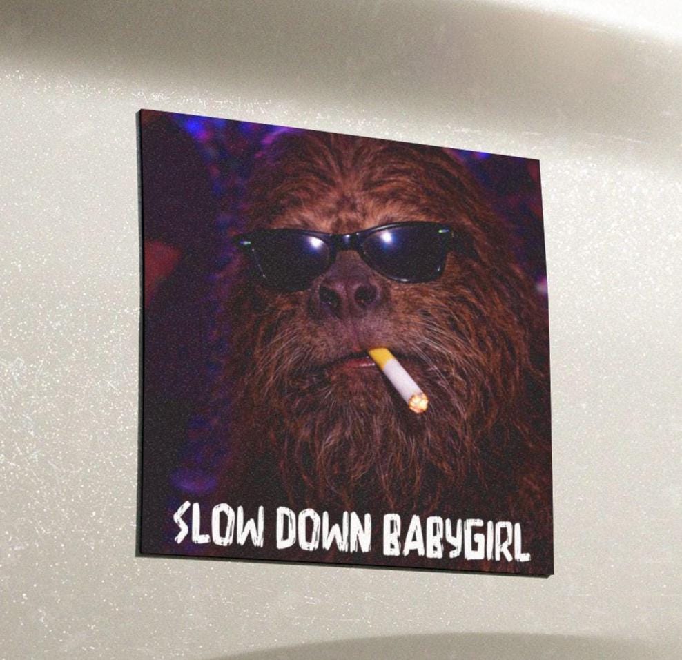 Funny Bigfoot Cat Car Magnet, Hilarious Smoking Night Club, Outdoor Waterproof Party Sasquatch Lover Gag Gift, y2k Slow Down Babygirl Joke