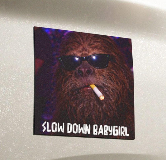 Funny Bigfoot Cat Car Magnet, Hilarious Smoking Night Club, Outdoor Waterproof Party Sasquatch Lover Gag Gift, y2k Slow Down Babygirl Joke