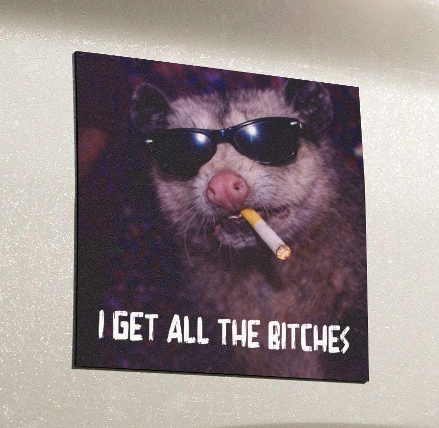 Funny Possum Car Magnet, Hilarious Smoking Night Club Opossum, Outdoor Waterproof Party Animal Lover Gag Gift, y2k I Get All The B*tches