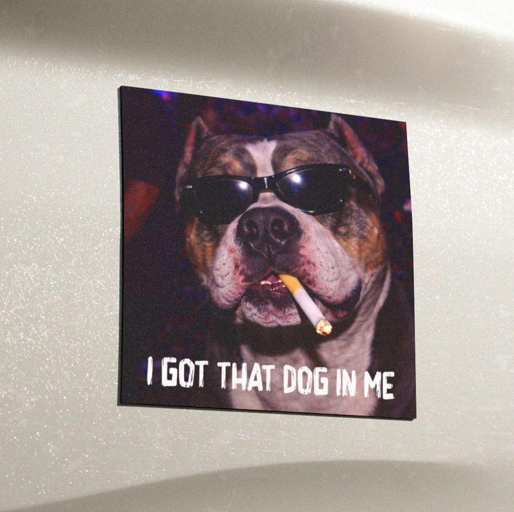 Funny American Bully Car Magnet, Hilarious Smoking Night Club, Outdoor Waterproof Party Animal Lover Gag Gift, I Got That Dog In Me y2k Dawg