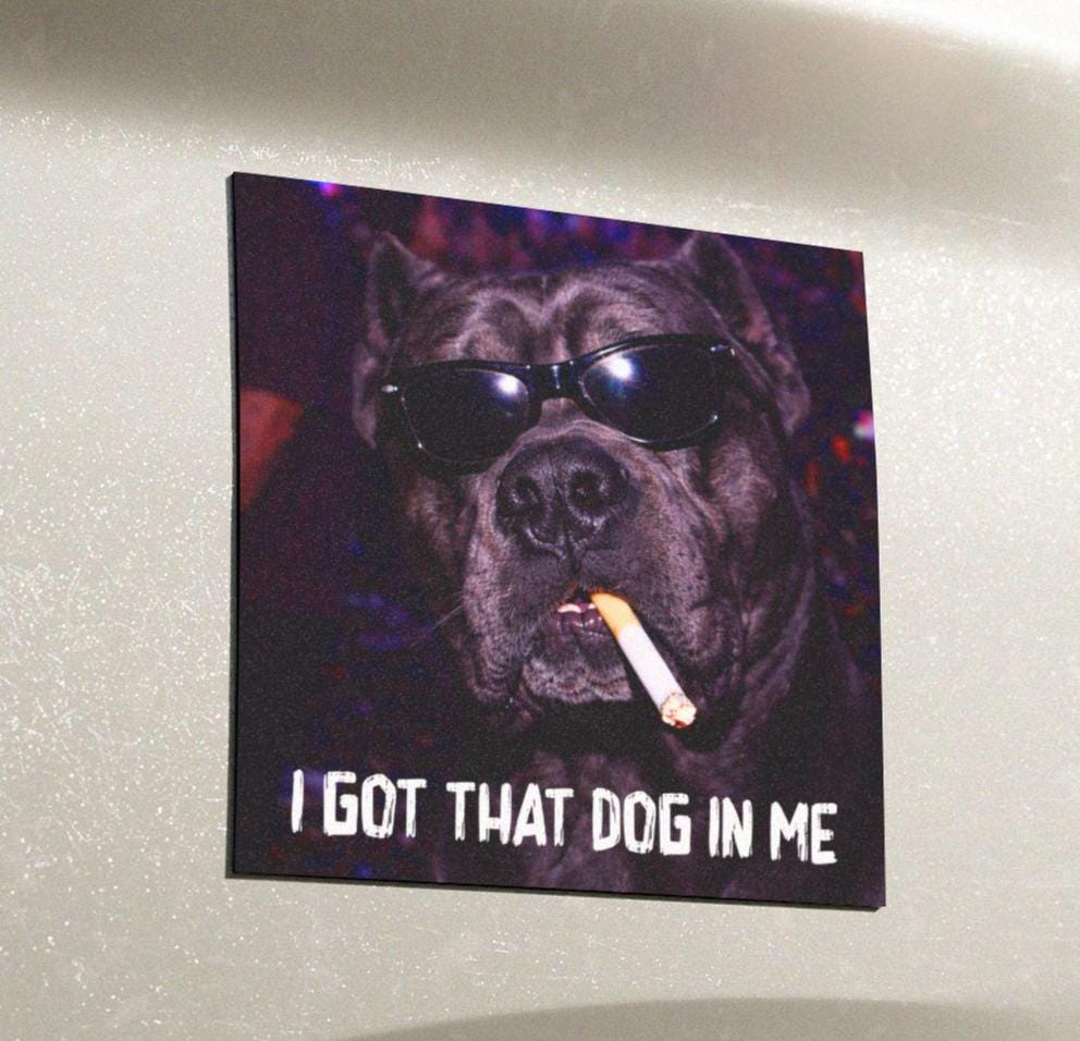 Funny Cane Corso Car Magnet, Hilarious Smoking Night Club Dogs, Waterproof Party Animal Lover Gag Gift, I Got That Dog In Me y2k Humor