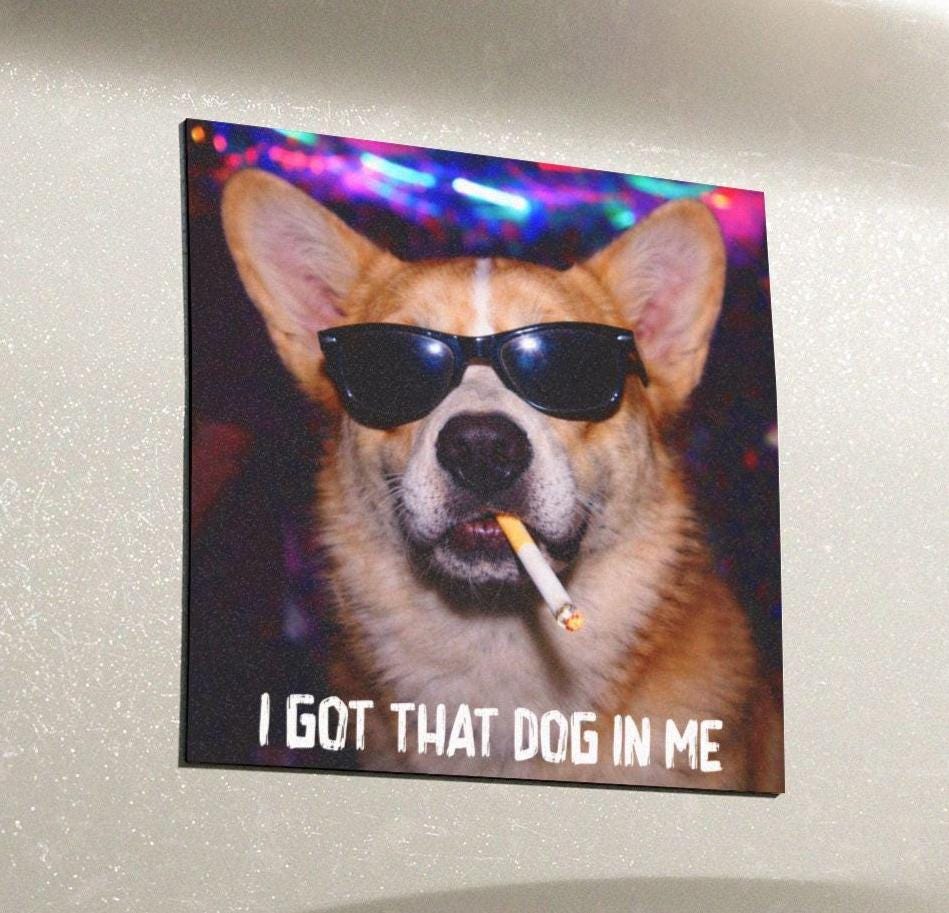 Funny Corgi Car Magnet, Hilarious Smoking Night Club Dog, Waterproof Party Animal Lover Gag Gift, I Got That Dog In Me y2k Meme Cursed Humor