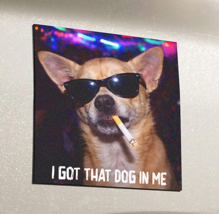 Funny Chihuahua Car Magnet, Hilarious Smoking Night Club Dog, Waterproof Party Animal Lover Gag Gift, I Got That Dog In Me y2k Meme Cursed