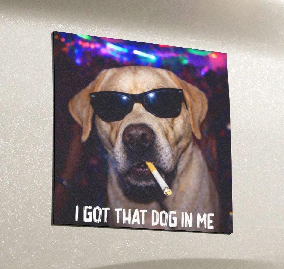 Funny Labrador Retriever Car Magnet, Hilarious Smoking Night Club Yellow Lab Dogs, Party Animal Lover Gag Gift, I Got That Dog In Me y2k