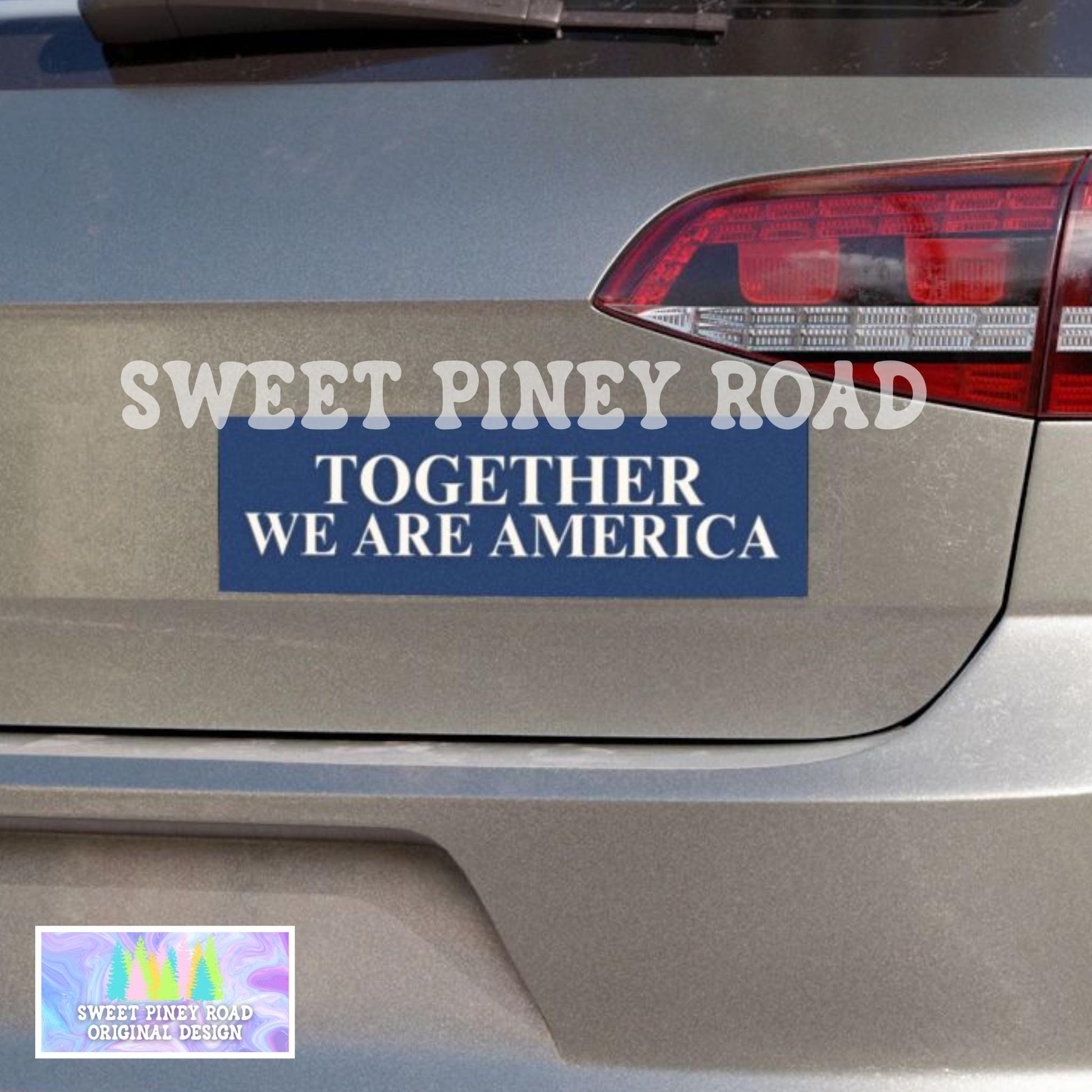 Together We Are America Car Magnet, FDT Bumper Sticker, Anti Trump MAGA Rainbow Decal, F*ck ICE, Latin Pride, Protest Rally Against Racism
