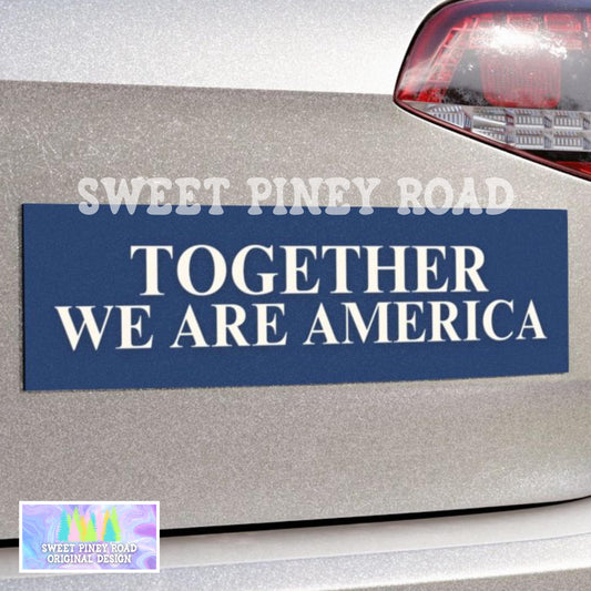 Together We Are America Car Magnet, FDT Bumper Sticker, Anti Trump MAGA Rainbow Decal, F*ck ICE, Latin Pride, Protest Rally Against Racism