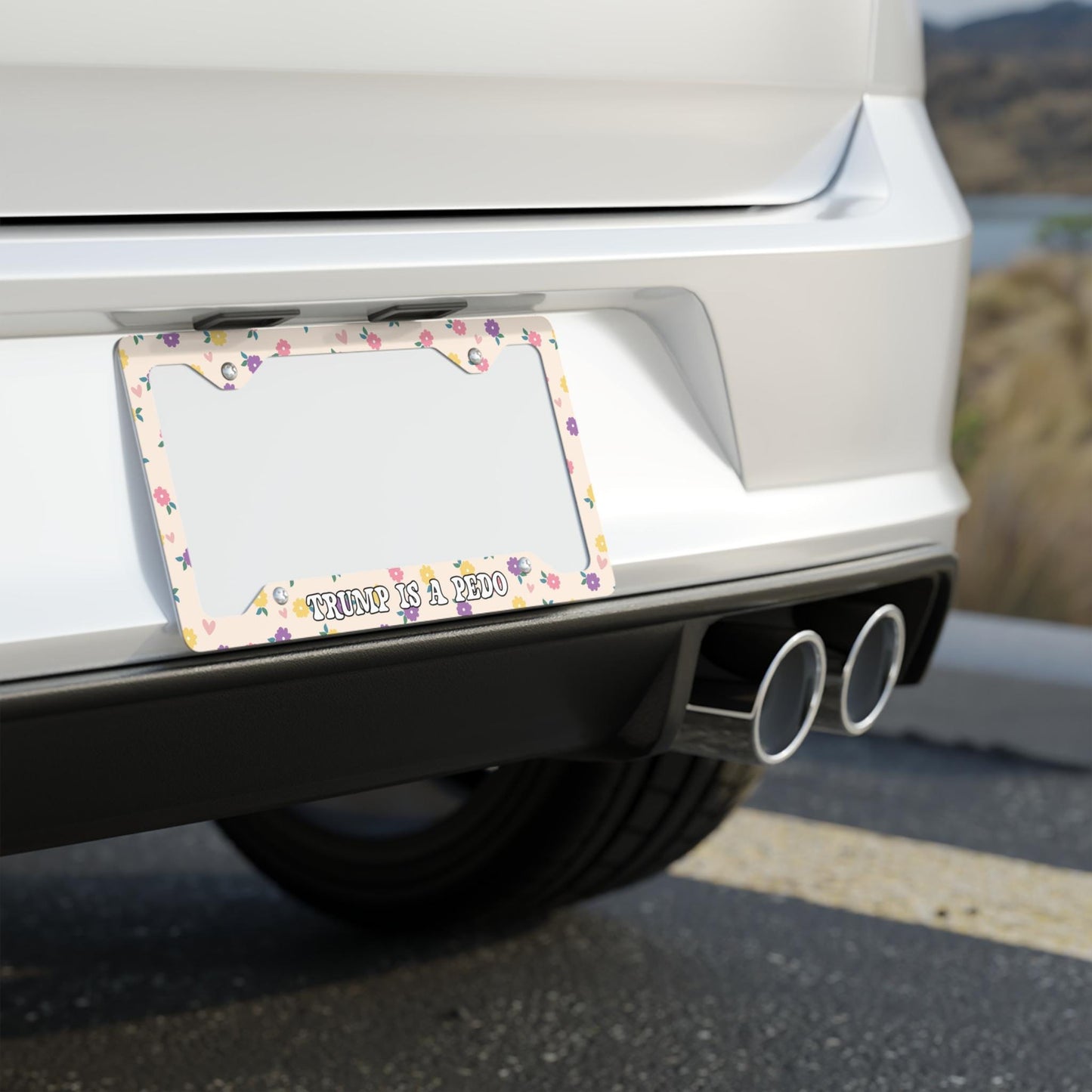 FDT License Plate Frame, Trump Is A Pedo Car Accessory, Anti-MAGA Liberal Vehicle Accessories, Protest Fascism, Release The Files