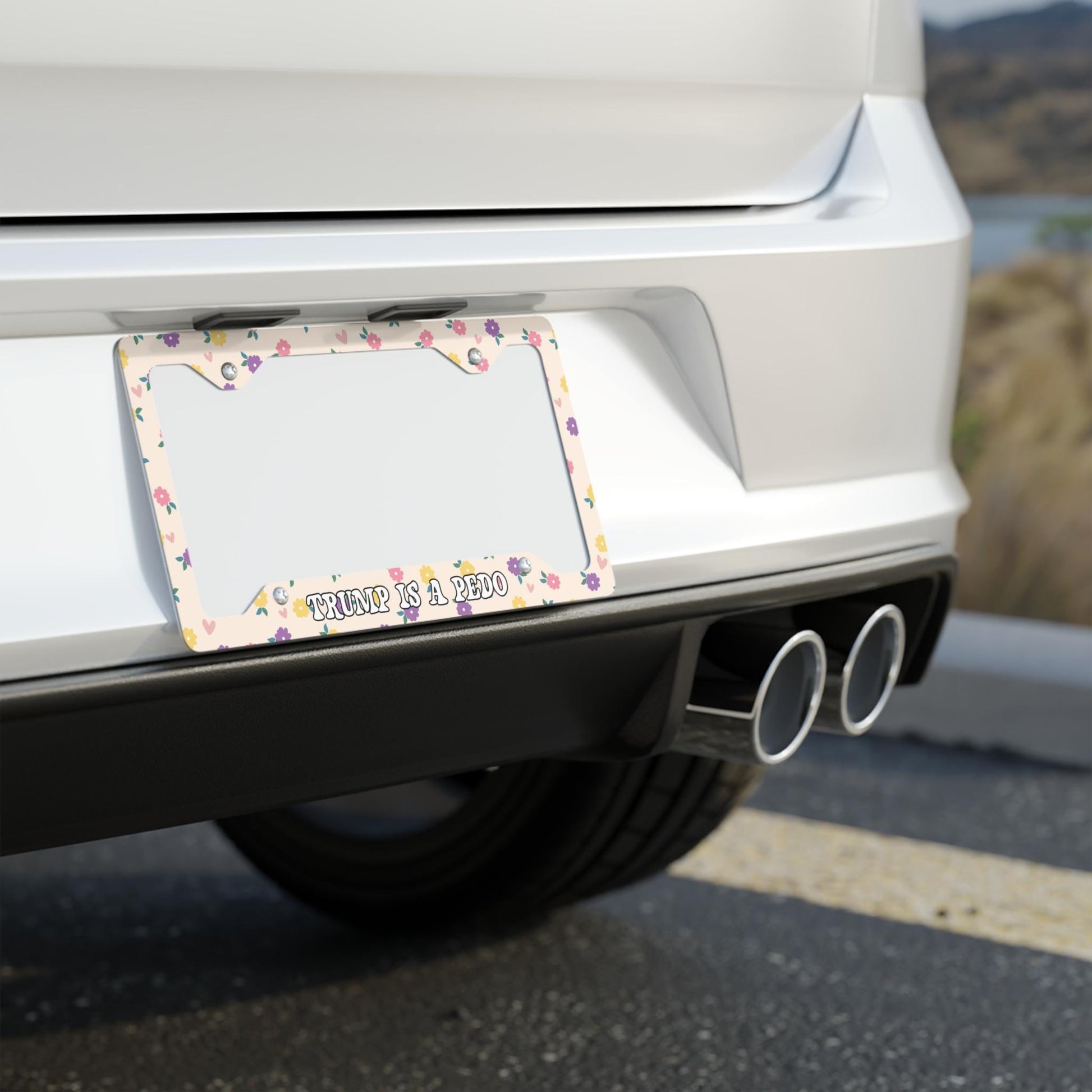 FDT License Plate Frame, Trump Is A Pedo Car Accessory, Anti-MAGA Liberal Vehicle Accessories, Protest Fascism, Release The Files