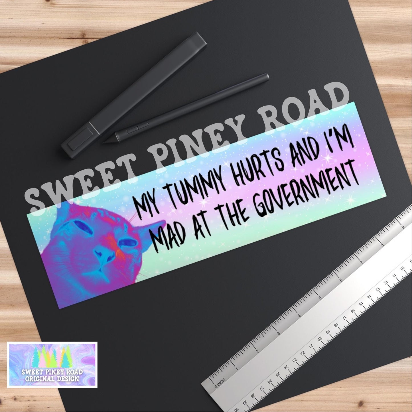 My Tummy Hurts and I’m Mad at the Government Car Magnet, Funny Bumper Sticker, Unhinged Cat Vehicle Decal, Anti-Trump FDT Y2k Gift