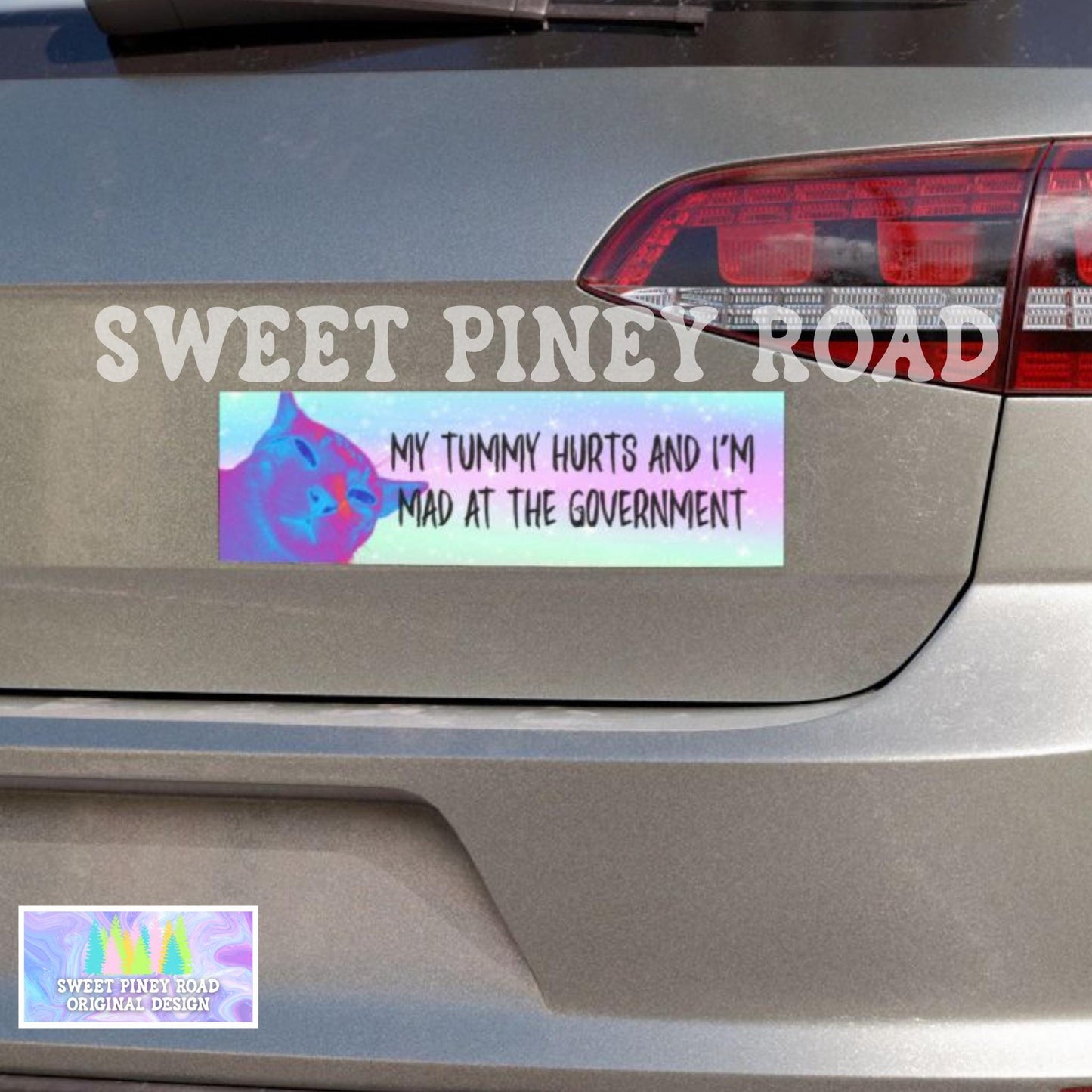 My Tummy Hurts and I’m Mad at the Government Car Magnet, Funny Bumper Sticker, Unhinged Cat Vehicle Decal, Anti-Trump FDT Y2k Gift