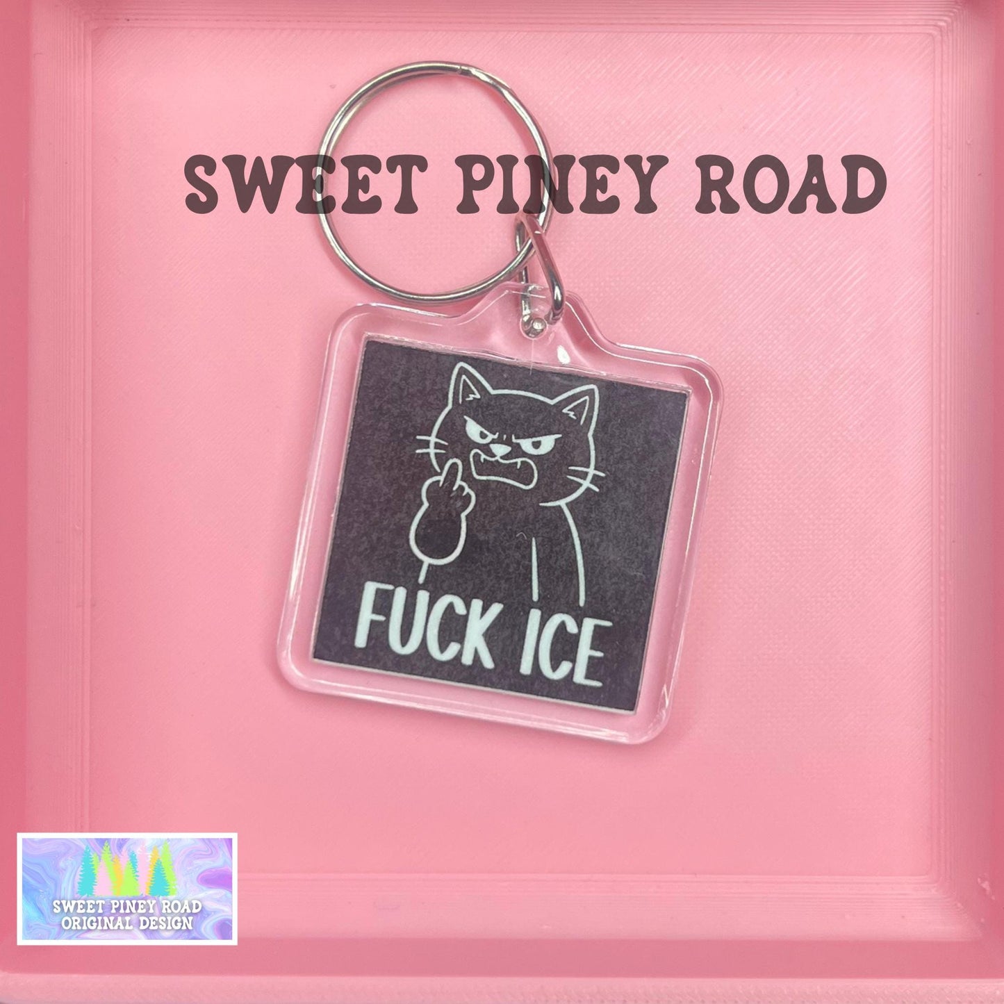 Fck ICE Cat Keychain, Abolish ICE Political Bag Charm, Chinga La Migra, Anti Trump Protest Bag Tag, FDT Gift For Democrat Acrylic Key Chains