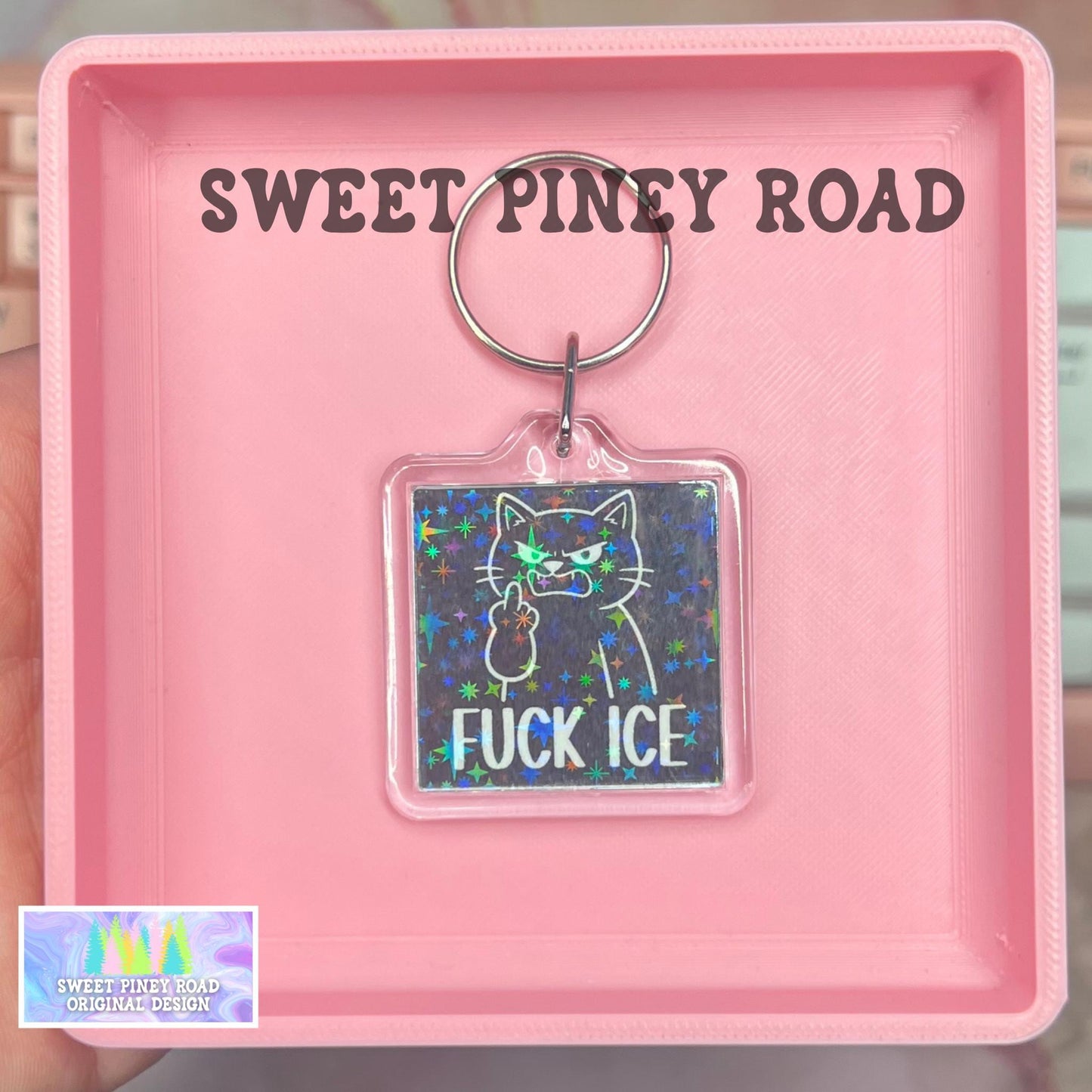 Fck ICE Cat Keychain, Abolish ICE Political Bag Charm, Chinga La Migra, Anti Trump Protest Bag Tag, FDT Gift For Democrat Acrylic Key Chains