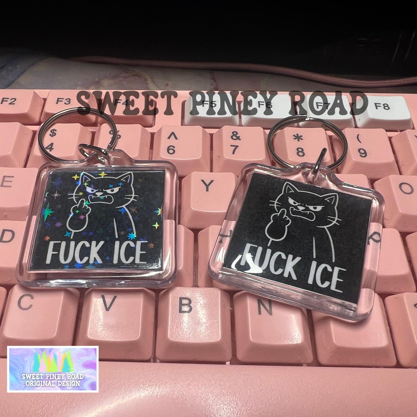 Fck ICE Cat Keychain, Abolish ICE Political Bag Charm, Chinga La Migra, Anti Trump Protest Bag Tag, FDT Gift For Democrat Acrylic Key Chains